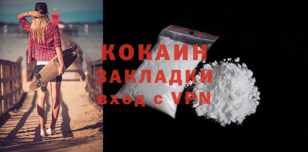 кокс Ельня