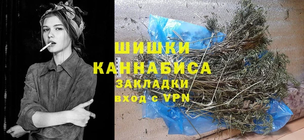 кокс Ельня