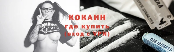 кокс Ельня
