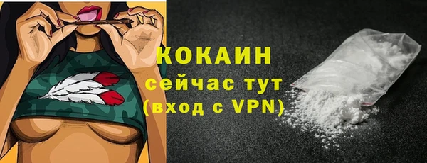 кокс Ельня